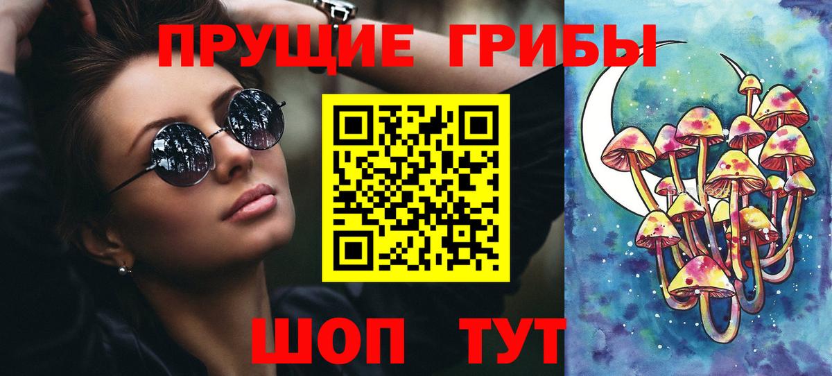 Новозыбков  что такое   Вход с VPN  Галлюциногенные грибы Magic Shrooms  Галлюциногенные грибы мухоморы 